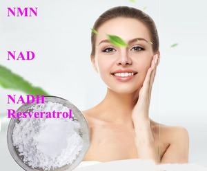 고순도 99% NAD+ NADH 니코틴아미드 아데닌 다이뉴클레오타이드 NADH 분말 - Product Image 3