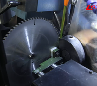Machine de meulage d'angle latéral entièrement automatique MLC-300J (bras robotisé)