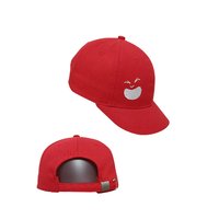 Gorra de Béisbol de 6 Paneles Personalizable de Alta Calidad con Tela 100% Algodón Impermeable, Ajustable para Ir de Compras, Empaquetada en Cartón