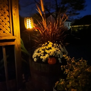 <span class=keywords><strong>Torche</strong></span> de <span class=keywords><strong>jardin</strong></span> scintillante à flamme solaire veilleuse à flamme LED pour l'extérieur - Product Image 4
