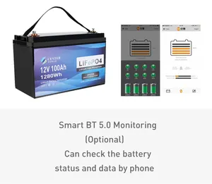 Bestseller Ons Duitsland Uk Canada 12 V Deep Cycle Solar Rv Caravan Marine 12 Volt Lithium Ion Batterijen 12 V 100ah LiFePO4 Batterij