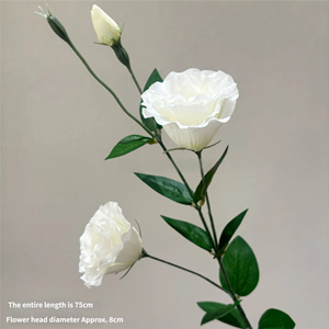 ดอกไม้<span class=keywords><strong>ป</strong></span>ระดิษฐ์สีขาวเนื้อสัมผัสเหมือนจริง พิมพ์ 3 มิติ ทำจากผ้าไหม ช่วยเพิ่มความชุ่มชื้น  จัดดอกไม้แบบกำหนดขนาดได้ ตกแต่งงานแต่งงานและบ้าน - Product Image 5