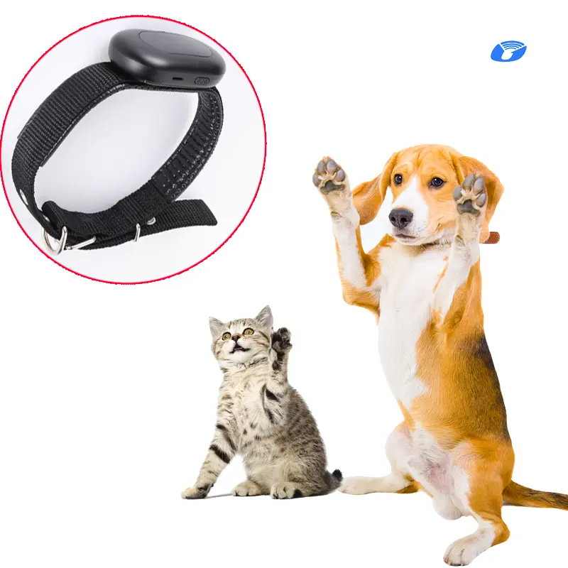 Chó không thấm nước và mèo cổ áo vật nuôi GPS Tracker bw21 V41 con chó theo dõi thiết bị mèo hàng rào cổ áo GPS GSM Tracker thời gian thực theo dõi