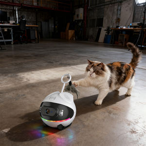 Cámara de Seguridad Inalámbrica para Mascotas con Wifi, Gran Angular, Visión Nocturna, Detección de Movimiento y Seguimiento - Product Image 1