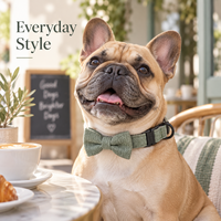 Collier pour chien en tissu chevron avec nœud papillon, boucle à dégagement rapide réglable, anneau en D métallique, étiquette personnalisée, vente en gros OEM