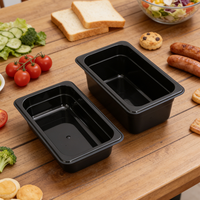 Bac à glace GN 1/4 en polycarbonate de haute qualité, écologique, pour équipement de restaurant, buffet d'hôtel et présentation