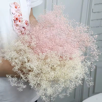 Bunga Kering Alami Grosir untuk Dekorasi Pernikahan, Hari Valentine, Hari Ibu, Halloween, dan Meja Makan di Rumah