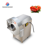 Coupeur automatique Trancheuse Cubes Coupe Dicer Gingembre Machine De Découpe Julienne Triangle Plantain Machine De Découpe (TS-Q50)