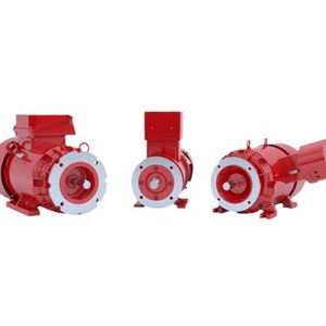 Motor de CA trifásico Winkelmann con montaje de brida totalmente encapsulado para bancos de pruebas y máquinas especiales - Product Image 1