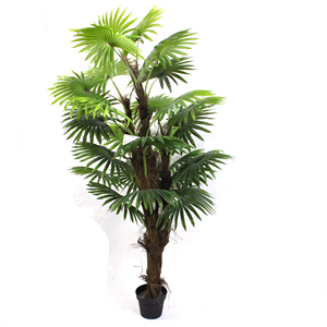 Palmier Artificiel, Palmier Artificiel à Succès, Grandes Plantes Artificielles, Décorations de <span class=keywords><strong>Palmiers</strong></span> Artificiels - Product Image 3
