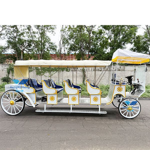 รถม้าไฟฟ้าเที่ยวชม - Product Image 2