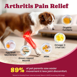 <strong>Dog</strong> Cat Joint Health Care Soft Chews <strong>Fish</strong> <strong>Oil</strong> Glucosamine HCL High-Protein Pain Relief 120 Chews/Box - Product Image 6