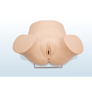 Modelo de Entrenamiento para Examen de Secreción Ginecológica, Modelo de PVC para Entrenamiento de Médicos de Obstetricia y Ginecología, <span class=keywords><strong>Ciencias</strong></span> Médicas - Product Image 1