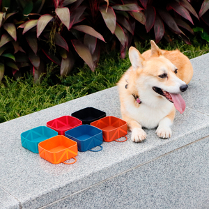 Sunraymascota 2025 Nouvelles Couleurs Personnalisées Bol <span class=keywords><strong>de</strong></span> Voyage Pliable Portable pour Animaux <span class=keywords><strong>de</strong></span> Compagnie, Gamelle Carrée en Silicone pour Nourriture et Eau pour Chien - Product Image 3