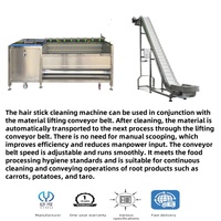 Automatische wortelborstelwasser-schilmachine voor voedselverwerkingsbedrijven, keukens, gember, cassave en zoete aardappel.