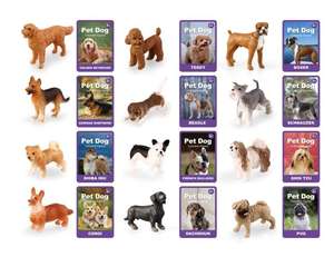 Modèles d'animaux en PVC pour l'éducation précoce des enfants, cartes mémoire d'apprentissage assorties - Aides pédagogiques pour la reconnaissance des connaissances de la petite enfance - Product Image 2