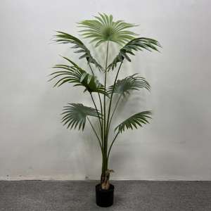 Palmier Tropical Artificiel de Simulation 1.6/1.8m Maison Fruit Vert Palmiers Ventilateur Artificiel Palmier Arbre en Pot - Product Image 3