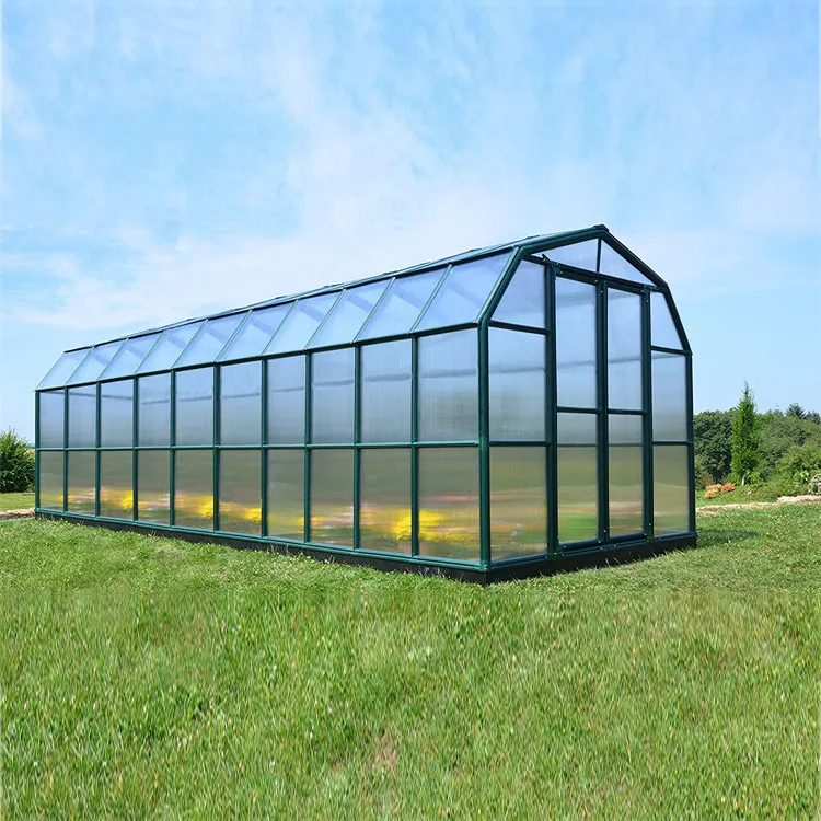 Skyplant Diy पॉली कार्बोनेट एल्यूमीनियम उद्यान ग्रीनहाउस 4mm ग्लास पैनल के साथ