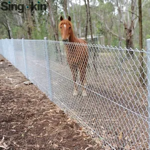 Farm And Field Galvanized Steel Chain Link Wire Fence 9 Gauge Wire GI Chain Link Fence Wire Mesh Fence Price