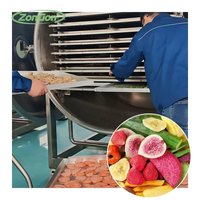 Volautomatische Groenten En Fruit Vacuüm Vriesdroogmachine Fruitgroentechips Gevriesdroogde Durian Aardbeien Meidoorn