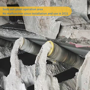 Galet de roulement non métallique anti-corrosion, résistant aux acides, à grande capacité de charge et économique pour usines de sel et centrales électriques à l'étranger - Product Image 6