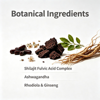 Capsules de Shilajit en gros sous marque privée OEM, complément alimentaire à base de plantes avec Ashwagandha, Rhodiola et Ginseng