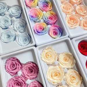 Décoration de la Saint-Valentin, vente en gros de têtes de roses de 5-6 cm, fleurs <span class=keywords><strong>éternelle</strong></span>s multicolores de qualité supérieure, fournisseur pour fleuristes - Product Image 1
