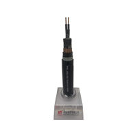 HUAQI 450/750V 14x4mm² XLPE-isoliertes Kupferleiterkabel, raucharm, halogenfrei, flammhemmend, für Tunnelsteuerung