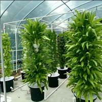 Tour d'aéroponie d'intérieur pour la culture de la laitue et de l'ananas avec éclairage, système hydroponique, jardinières