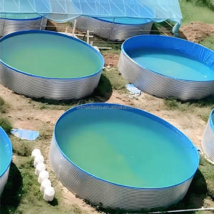 Tanques de Biofloc Galvanizados Personalizados de 6 m de Diámetro y 1.45 m de Altura, Tanques Circulares Grandes para Peces Ras, Acuicultura Agrícola - Product Image 3