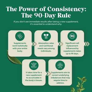 Oem Private Label Lymfedrainage Support <span class=keywords><strong>Drops</strong></span> Lymfatische Reiniging Vloeibare Druppels Voor Immuunondersteuning Met Echinacea & Vlierbes - Product Image 6