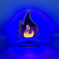 Enseigne lumineuse LED personnalisée en forme de flamme, effet miroir infini, étanche IP42, alimentée par USB, pour taxis, festivals, directement fournie par la Chine