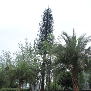 Tháp Viễn Thông cây <span class=keywords><strong>Bionic</strong></span> tùy chỉnh | tháp đơn ngụy trang cho mạng di động 4G 5g - Product Image 6