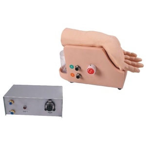 Modelo de Entrenamiento para Análisis de Gases en Sangre Arterial, Modelo de Dispositivo Electrónico de Circulación Sanguínea en Brazo - Product Image 2