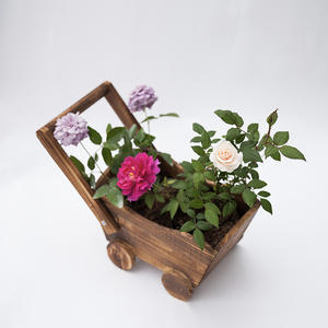 Chariots à fleurs <span class=keywords><strong>en</strong></span> bois au design moderne, train de dessin animé <span class=keywords><strong>pour</strong></span> jardins intérieurs et extérieurs, patios et terrasses, <span class=keywords><strong>pour</strong></span> utilisation au sol - Product Image 6