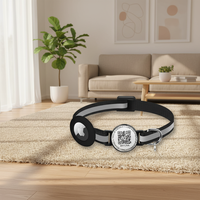 Neues Design Plastik-GPS IP67 Haustier-Airtag-Halsband mit Glocke, Anpassbarem Smart-ID-QR-Code, Personalisiertem Verstellbarem Sicherheits-Reflektorhalsband für Katzen