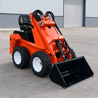 Euro5 EPA-konformer Kompaktlader mit Zuverlässigem Motor, Pumpe und Getriebe für Landwirtschaft und Kleine Bauarbeiten