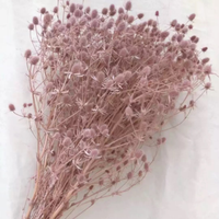 Direct van de fabriek: 15 geconserveerde bloemenkoppen, liefdesvruchten, Valentijnsbloemen voor thuisdecoratie