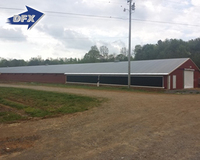 Tunnel léger ferme poulailler soudé coupe et plié maison de poulets de chair pour l'élevage de volailles hangar agricole en plastique