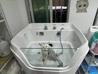 EUR Baignoire de massage pour animaux de compagnie Mini Dog Pet Baignoire en acrylique Toilettage pour chiens Spa Micro Bubble Baignoire au lait d'ozone pour animaux de compagnie