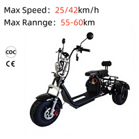 Sıcak Fırsatlar 2000W Güçlü Elektrikli Citycoco 45km/s 3 Tekerlekli Chopper Elektrikli Scooter Yetişkinler İçin