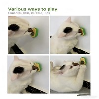Balle de jouet rotative à 360 degrés à la menthe pour chat, balle créative en forme d'avocat à la menthe pour chat, jouets pour animaux de compagnie OEM en gros
