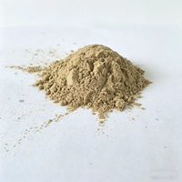 Bactéries de purification d'eau Bacillus Licheniformis à haute activité pour l'élevage de crevettes et de poissons