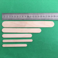 Outils de crème glacée en bois de gros Palettes de sucettes glacées pour la fabrication de crème glacée
