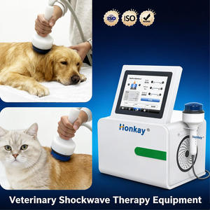 2026 Neuestes Tragbares Extrakorporales Stoßwellentherapiegerät für Schultermassage, Schmerzlinderung und Gewebereparatur mit 0 bis 66 mm - Product Image 1