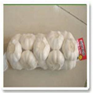 Ail frais pas cher, aussi en chine, prix <span class=keywords><strong>de</strong></span> gros, faible service - Product Image 6