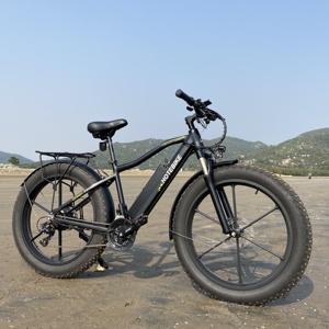 Bicicletta Elettrica da Neve e <span class=keywords><strong>Spiaggia</strong></span> con Pneumatici Larghi 48V, E-Bike ad Alta Velocità 500W, Bici Elettrica da Montagna per Adulti - Product Image 2