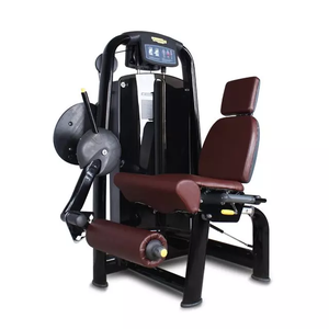 Máquina de Extensión de Piernas y Cuádriceps con Asiento de Acero para Uso Comercial YG Fitness YG-2002 - Product Image 1
