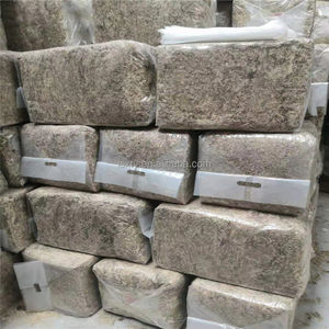 Musgo Sphagnum de Hilo Largo Grado 5A para Cultivo de Arándanos en Chile - Abono y Mezcla de Tierra Ácida con pH 3.5-4.5 - Product Image 4