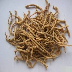 Raíz de Punarnava de Grado Alimenticio, Boerhavia Diffusa, Ingrediente Botánico Seco para Preparación de Té, Fabricación de Alimentos y Uso Culinario - Product Image 1